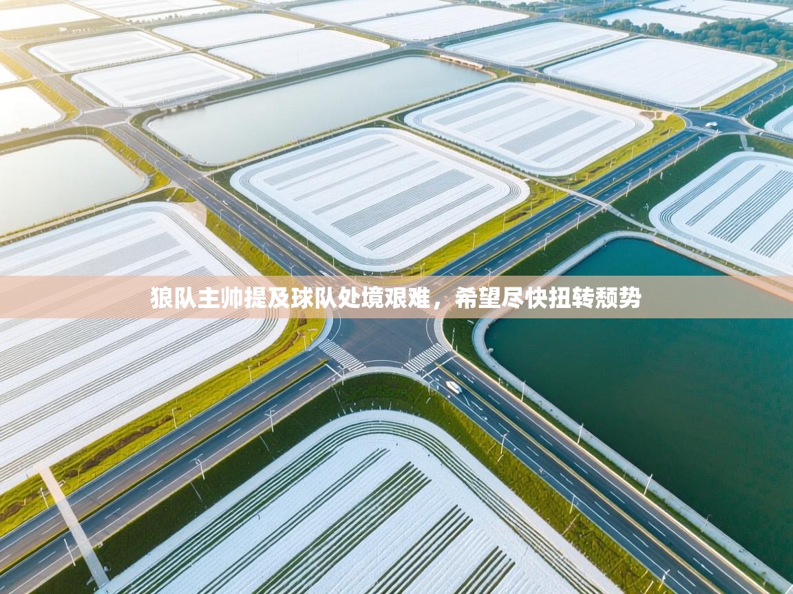 开云体育推送通知设置-狼队主帅提及球队处境艰难，希望尽快扭转颓势  第2张