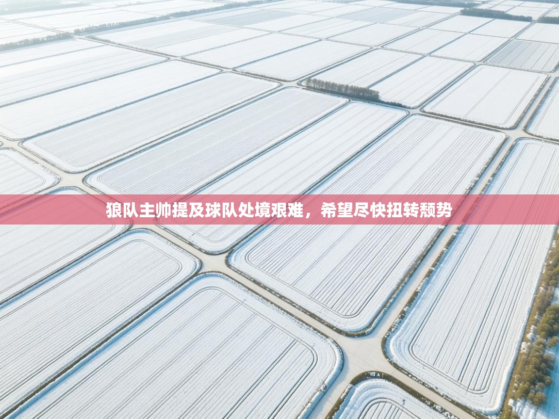 开云体育推送通知设置-狼队主帅提及球队处境艰难，希望尽快扭转颓势  第3张