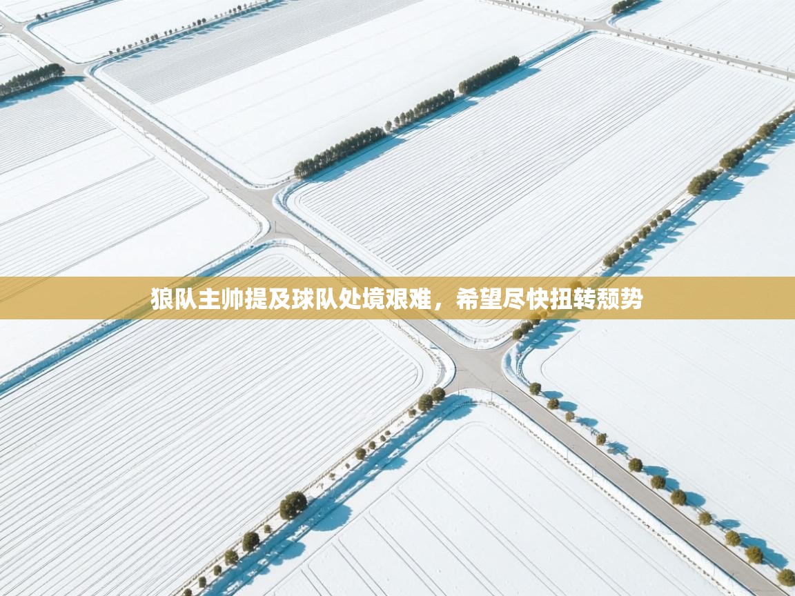 开云体育推送通知设置-狼队主帅提及球队处境艰难，希望尽快扭转颓势  第4张