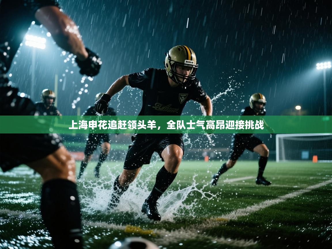 开云体育VIP权益说明-上海申花追赶领头羊，全队士气高昂迎接挑战  第3张