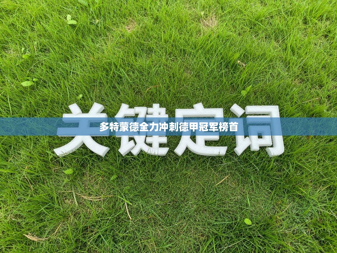 开云体育消息订阅关闭-多特蒙德全力冲刺德甲冠军榜首  第3张