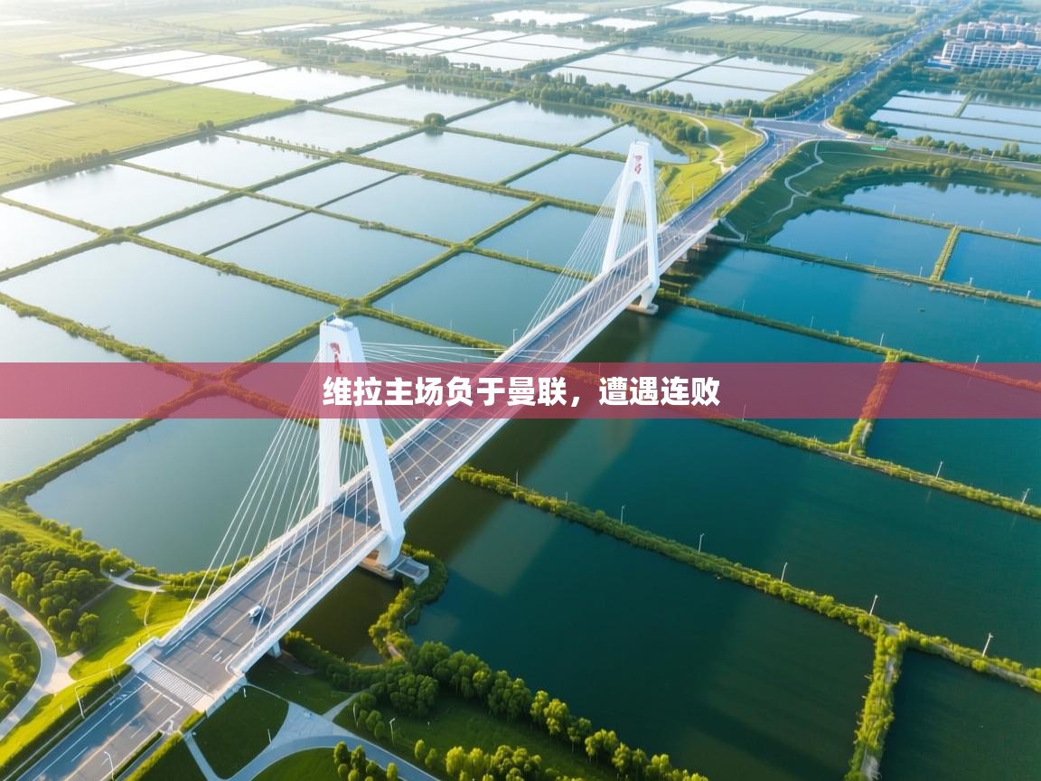 开云体育客服在线咨询-维拉主场负于曼联，遭遇连败  第3张